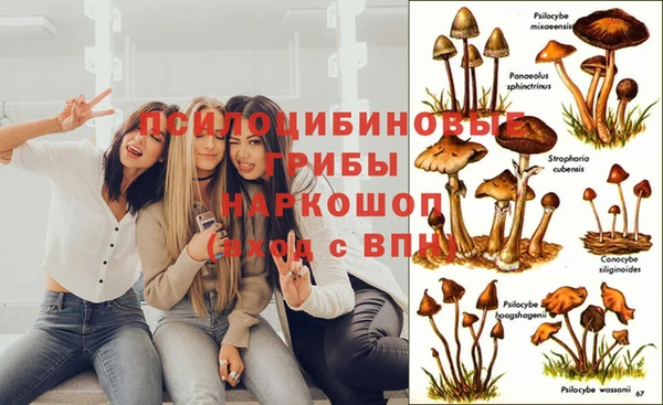 стафф Белоозёрский