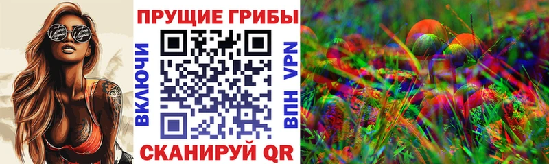 Купить где  Монино  Галлюциногенные грибы прущие грибы 
