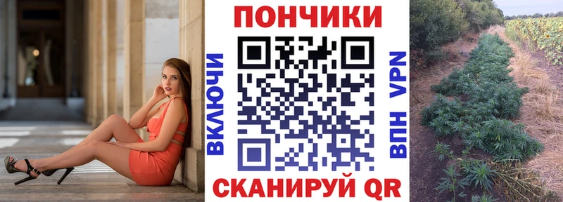 Шишки марихуана семена  Купить где  Монино 
